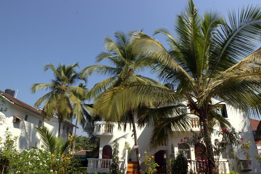 Colonia Santa Maria Hotel Baga Buitenkant foto